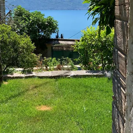 Glam Luxury Modern In An Historical Limonaia